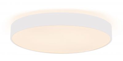 Накладной потолочный светильник 600 мм, 65 Вт, 3000/4000 К, белый Deko-Light Menkar 348202