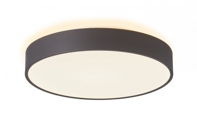 Накладной потолочный светильник 600, 70 Вт, 3000/4000 K, черный Deko-Light Menkar 348203